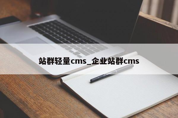 站群轻量cms_企业站群cms